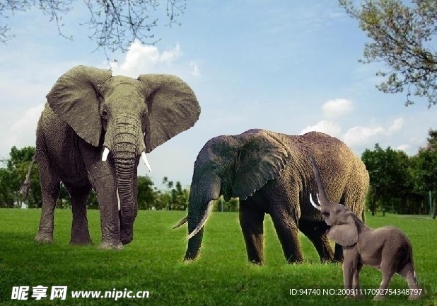 大象群雕设计图