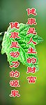 绿色背景