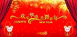 欢东华电共舞新年