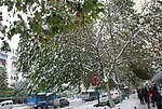 下雪了