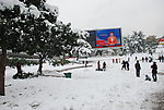雪后公园