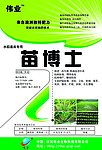 苗博士