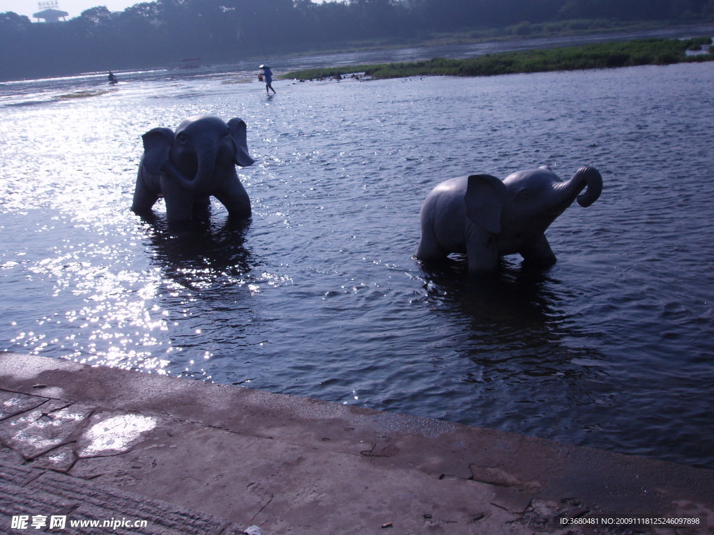 桂林风光 漓江中的小象1
