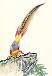 花鸟国画