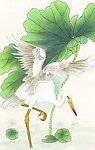 花鸟国画