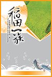 鱼包装