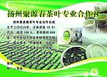 茶叶社简介