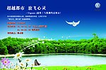 风景