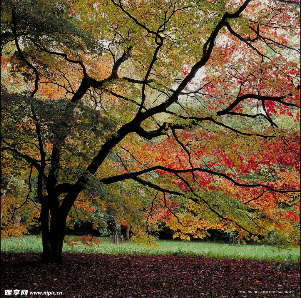 公园一景