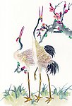 花鸟国画
