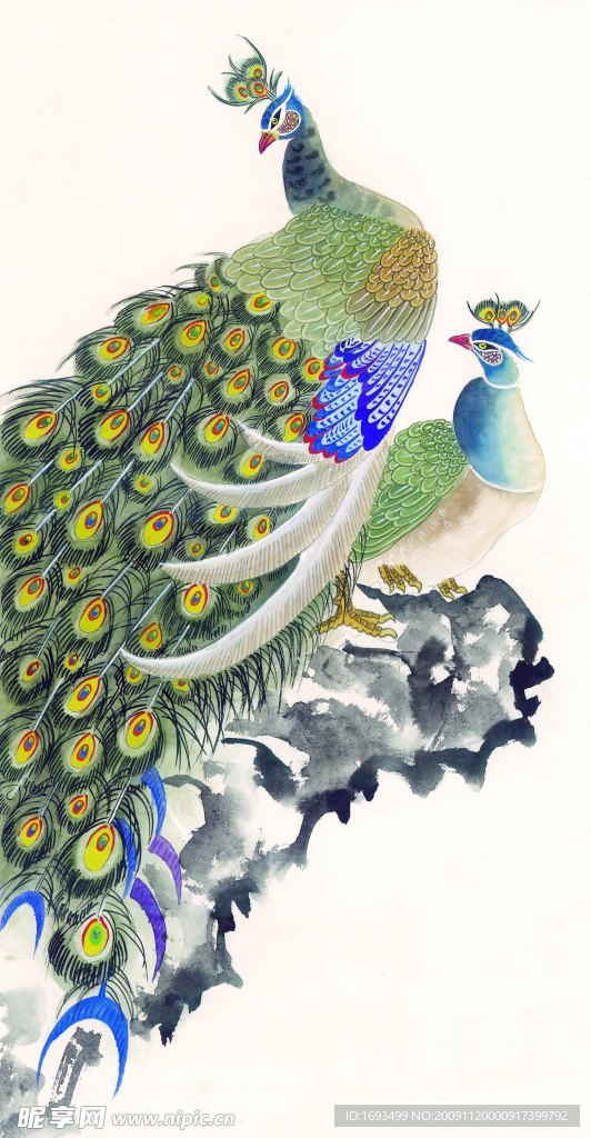 花鸟国画