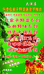 美食节宣传