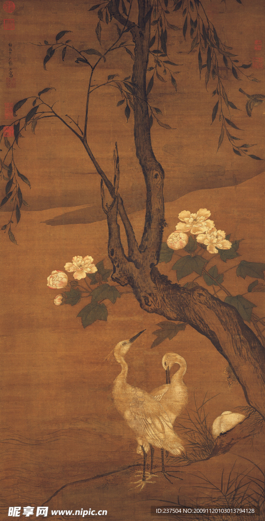 明_郑石_畫芙蓉白鷺