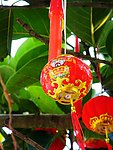 许愿树