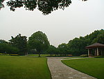 草坪