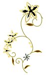 花纹 花边