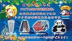 圣诞节