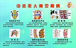 中老年人常见骨病