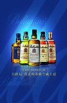 百龄坛 酒瓶 洋酒