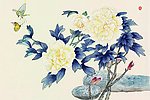 花鸟