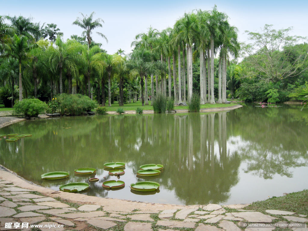 西双版纳植物园风光