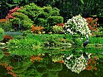 自然风景