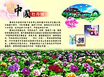 中国牡丹城