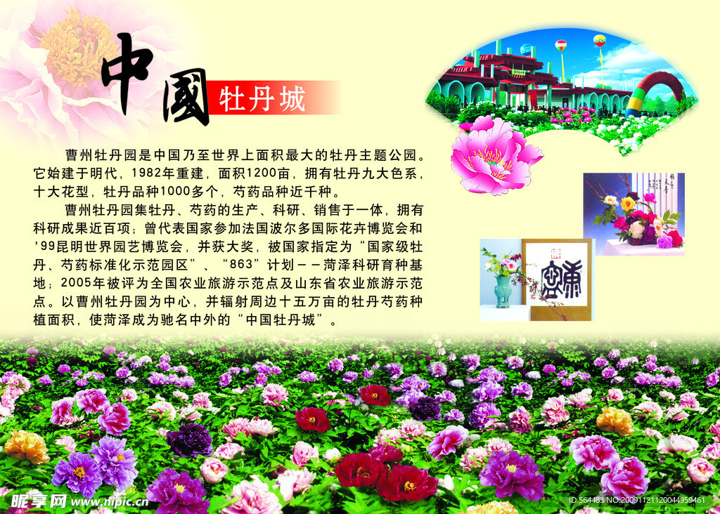 中国牡丹城