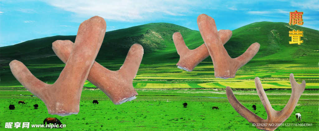 药材