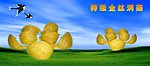 洞燕