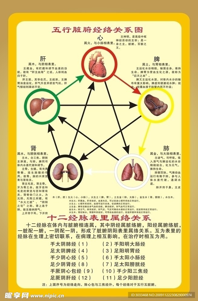 五脏五行