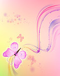 幻蝶