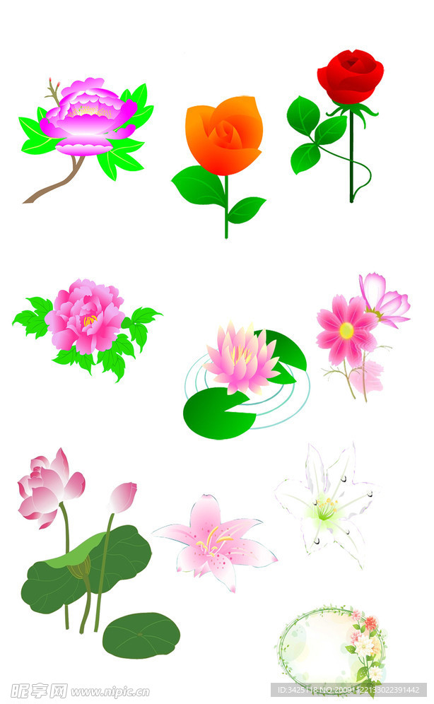 各种花图片