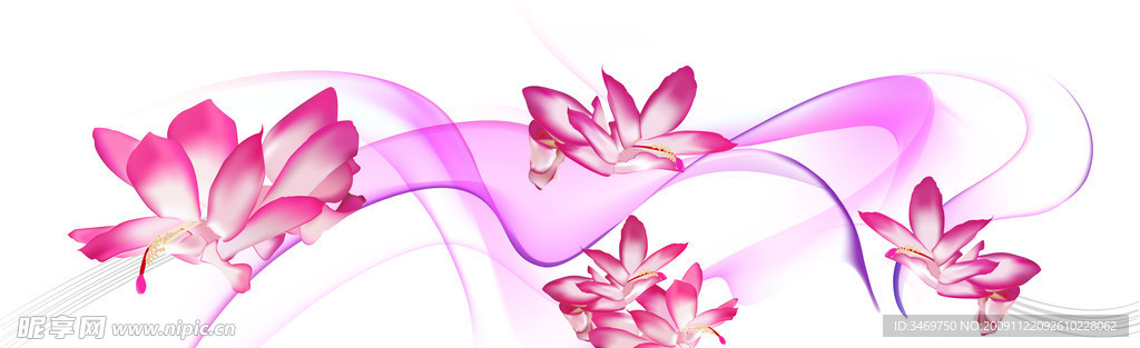梦幻与花朵