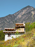 山腰上的居民