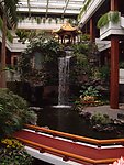 广州 羊城 花城 白天鹅宾馆 故乡水 瀑布 水景 园林 5星级 五星级 酒店 著名 老牌 宾馆 景观