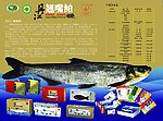 丹江翘嘴鲌鱼