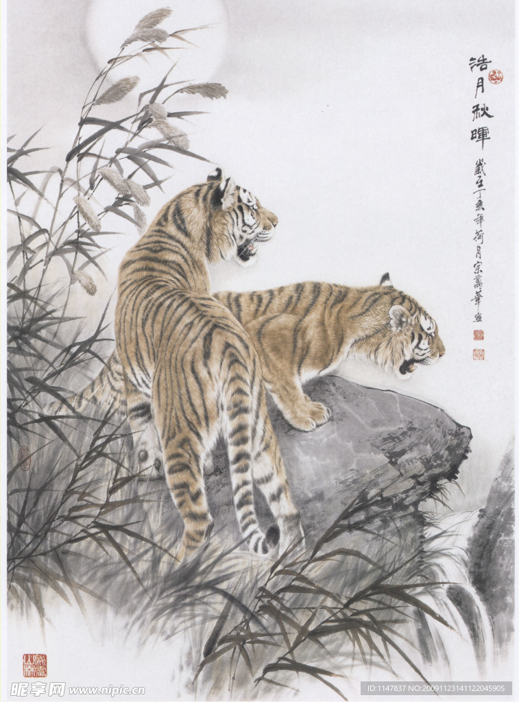 浩月秋晖