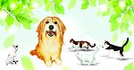 绿草地上的猫和狗
