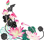 荷花（红花绿叶）