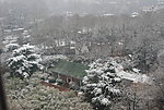 雪林