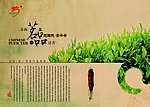 茶广告