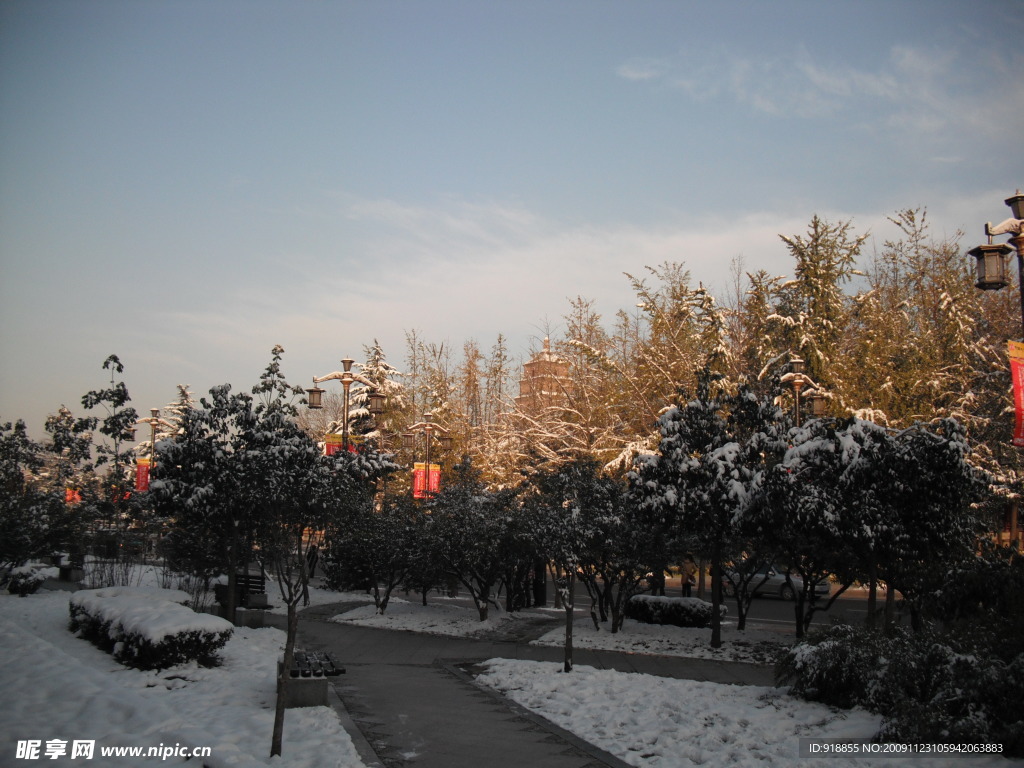 雪景
