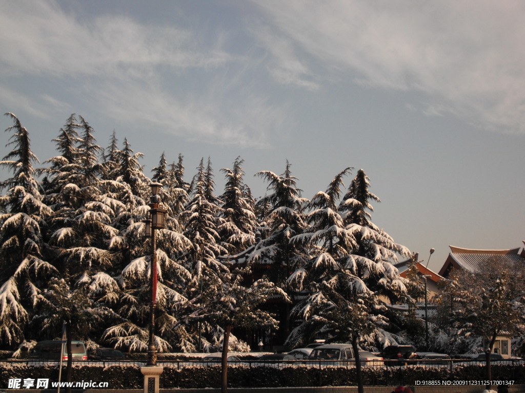 雪景