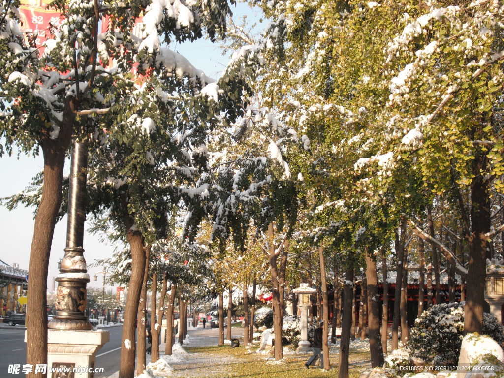 雪景