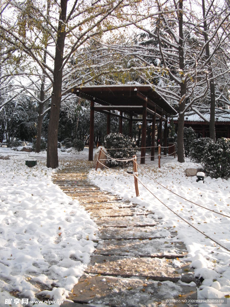 雪景