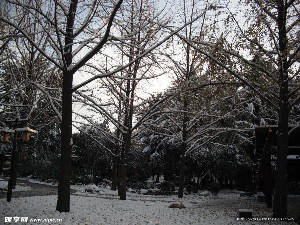 雪景