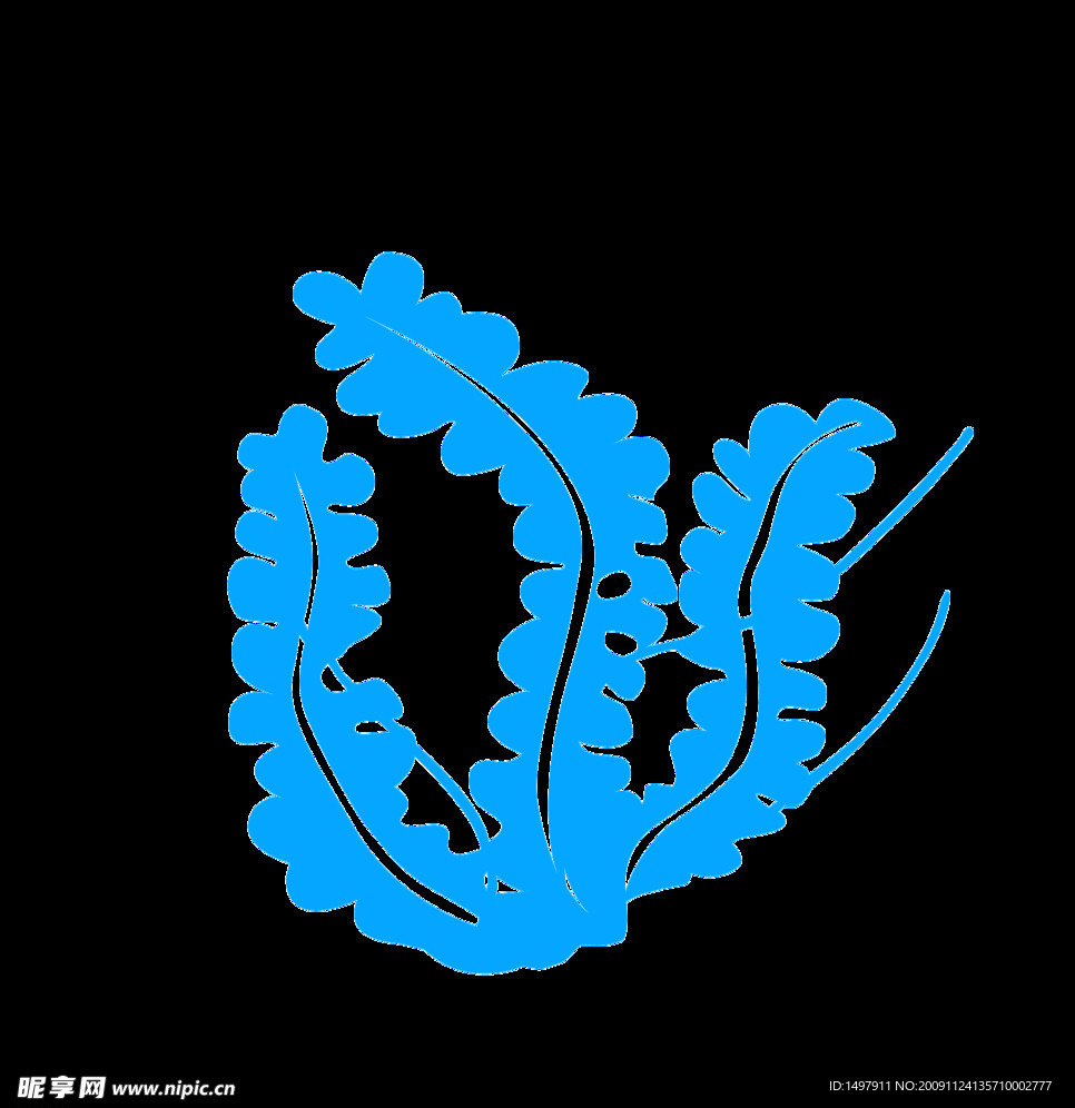 海藻