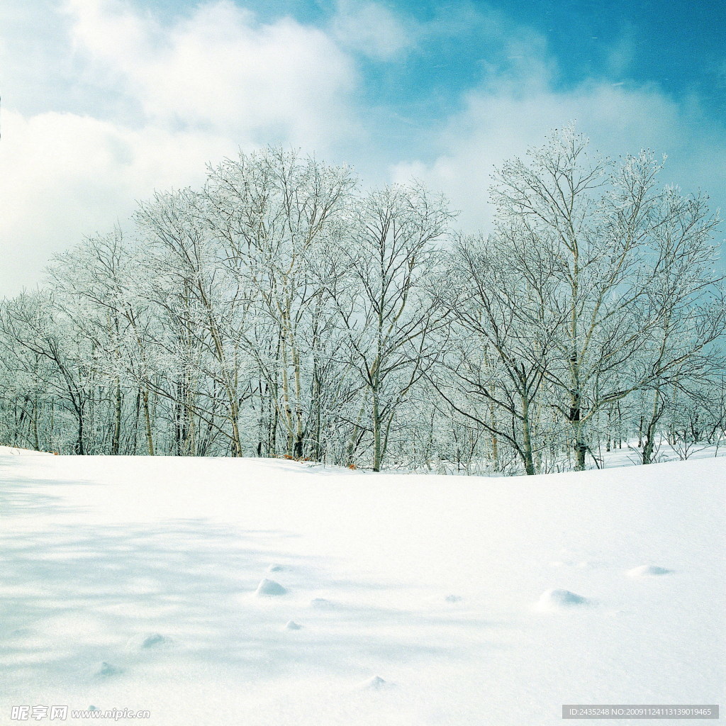 雪景
