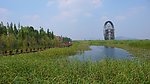 湿地公园